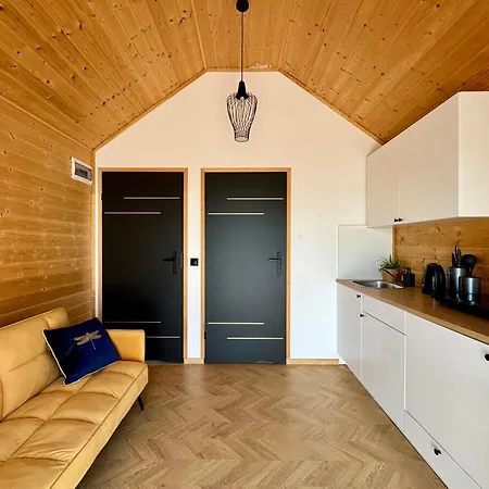 Wooden Studies * Piotrowice